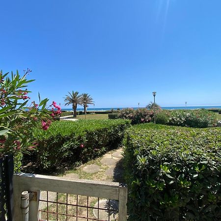 Les Pieds Dans L'Eau Apartment Canet-en-Roussillon Exterior foto